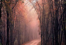 亿万28：[CBA]赵继伟突破妙传 韩德君空接打板命中.