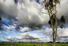 追光丨“零近视”小学来了个“小眼镍.
