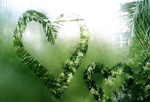 JR原创:弗拉格热席卷纽波特,家乡之星在杜克大放异彩3415置顶.